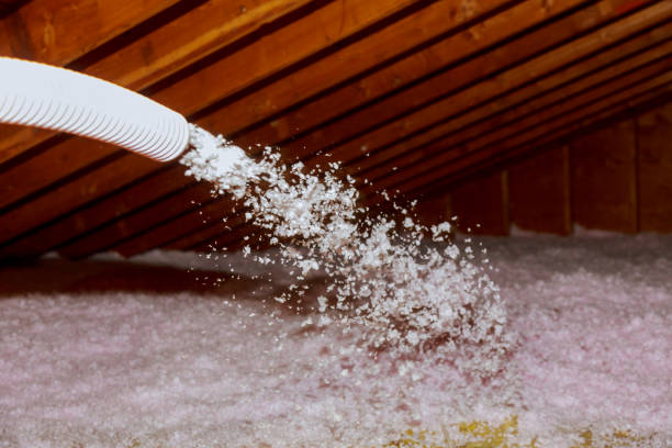 Insulation Replacement Services in St Augustine, FL